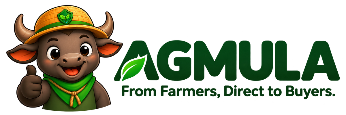 AGMULA