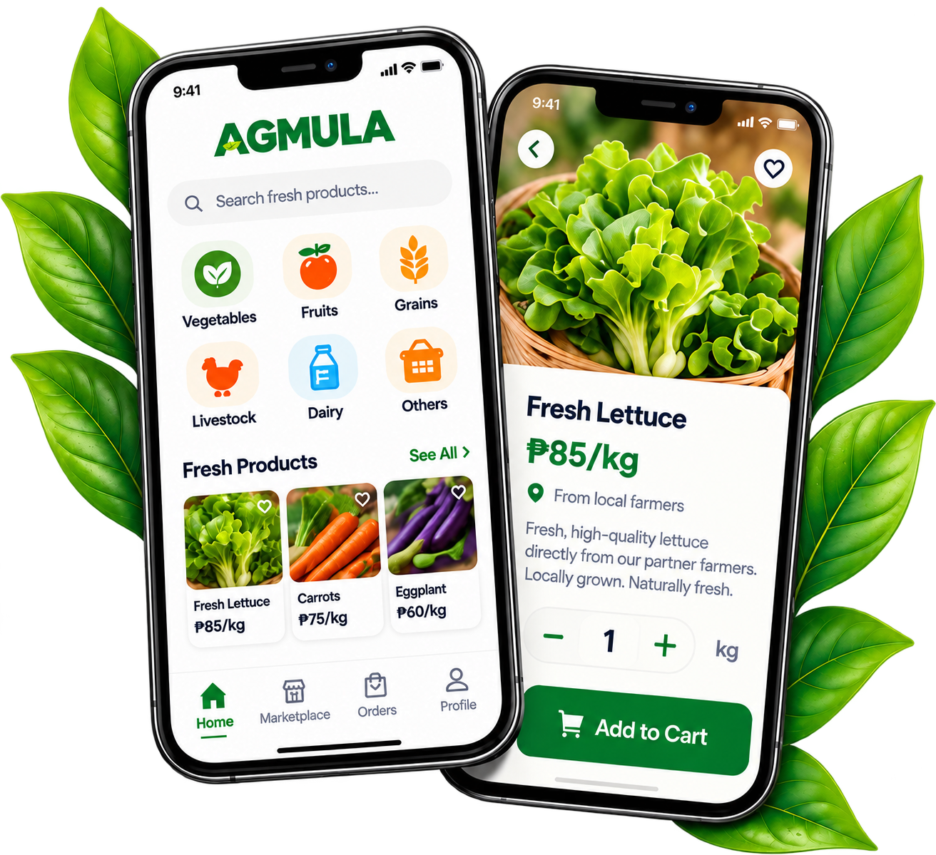 AGMULA mobile app showcase placeholder