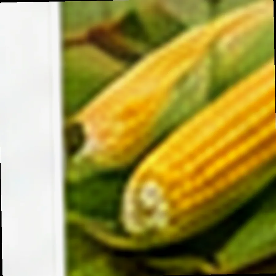 Glutinous Corn