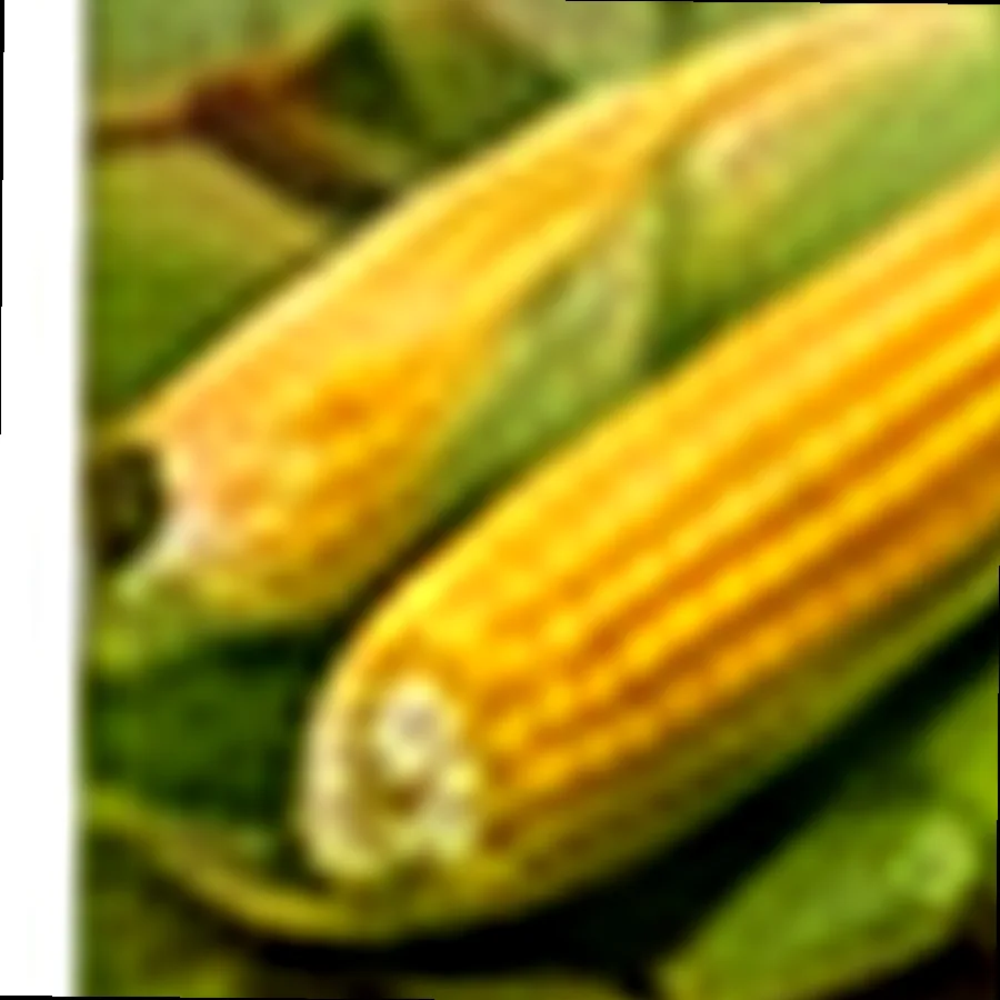 Corn Grits