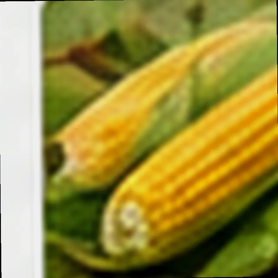 Corn Silage