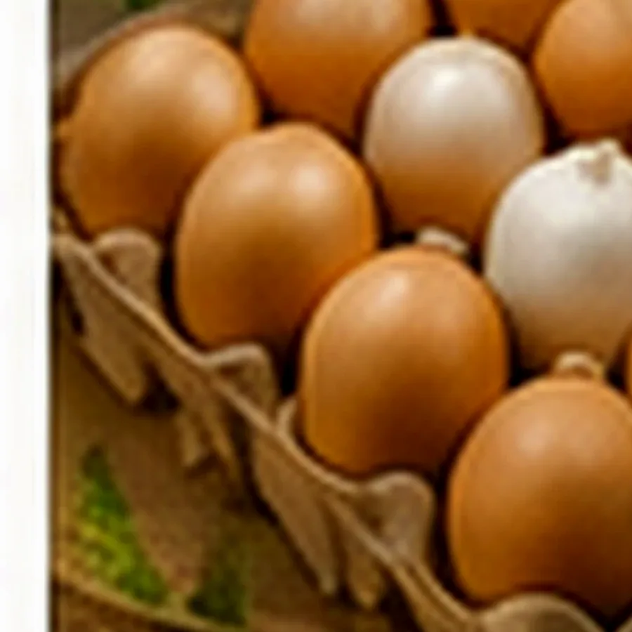 Free-Range Eggs