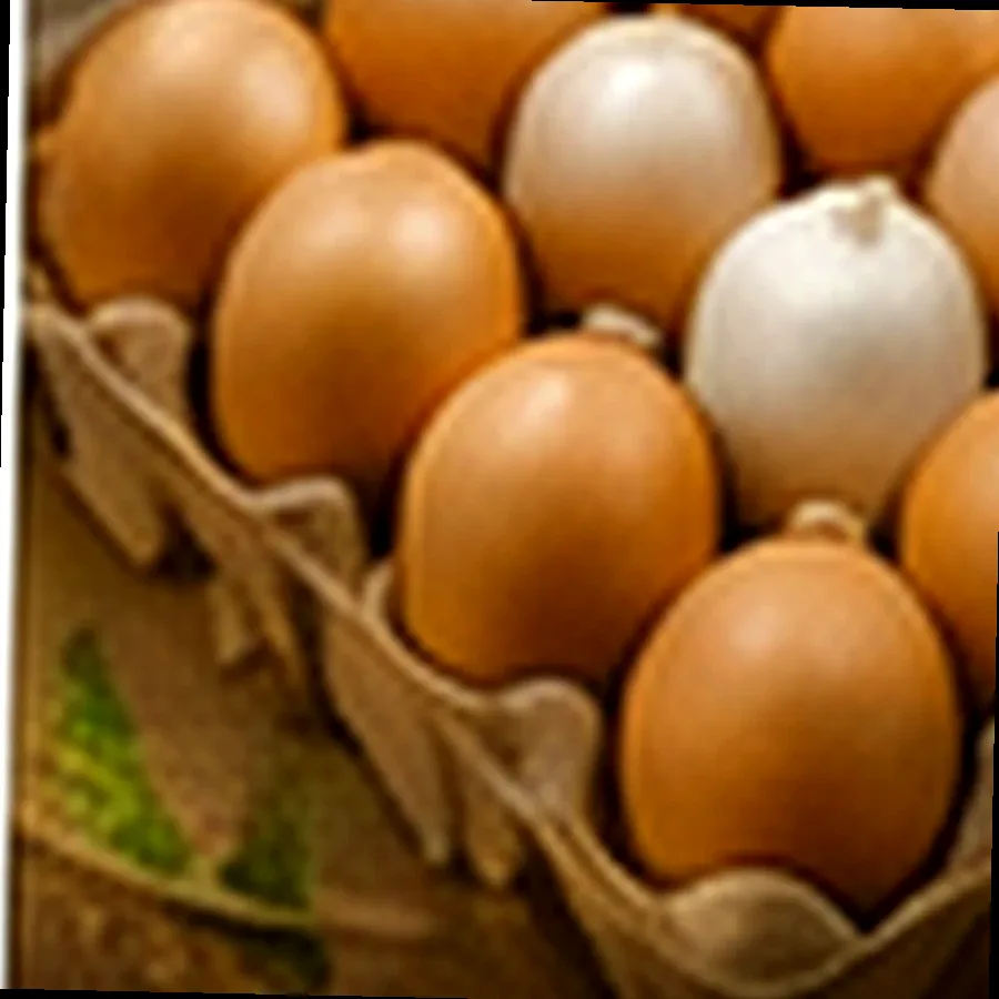Fresh Duck Eggs