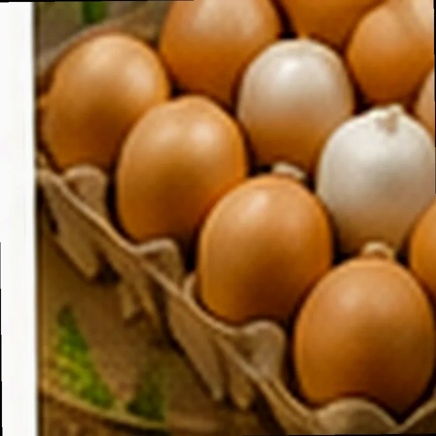 Balut Eggs