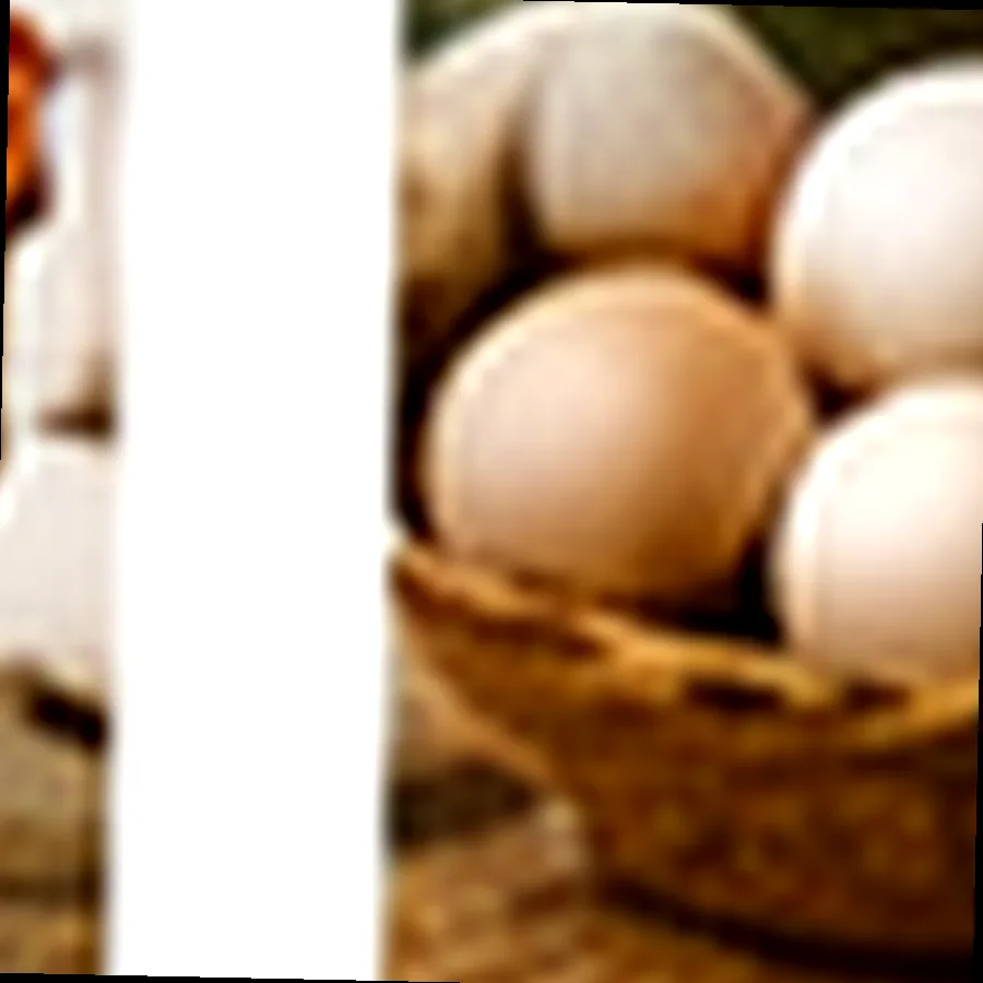 Organic Chicken Eggs