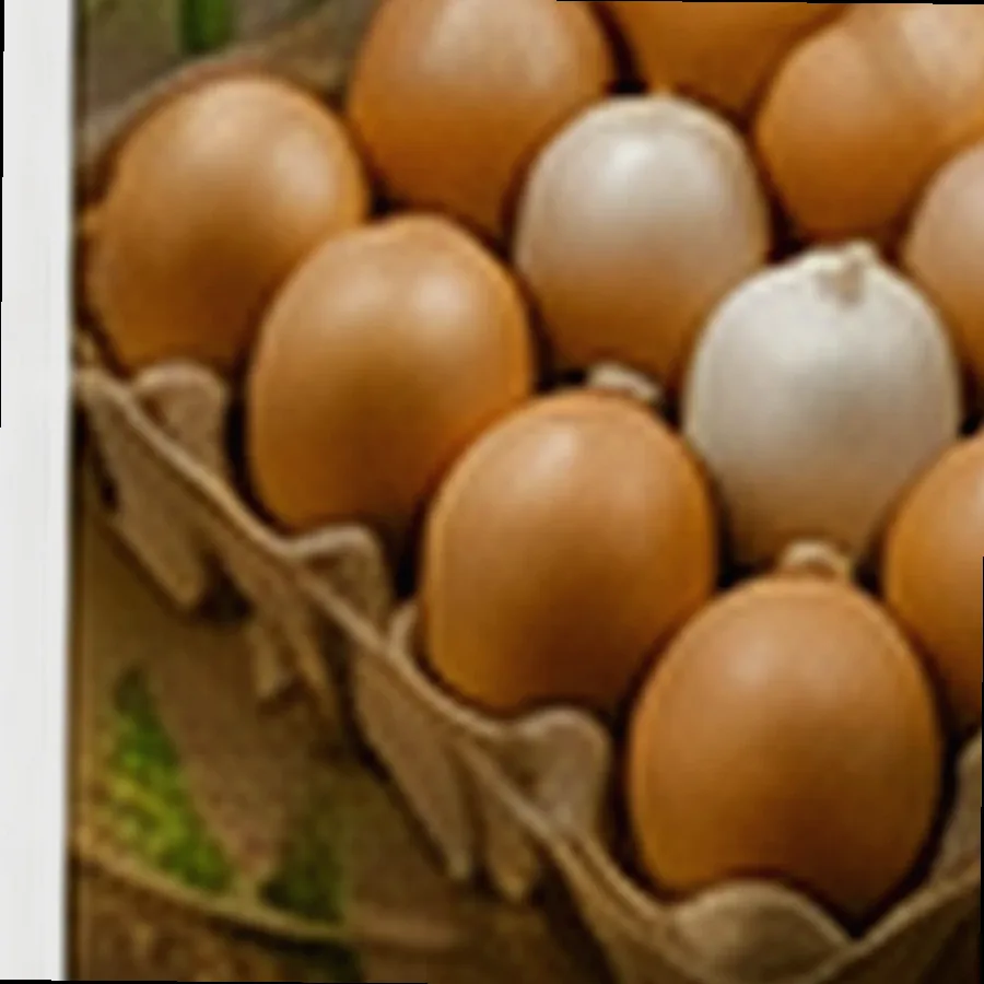 Jumbo Chicken Eggs