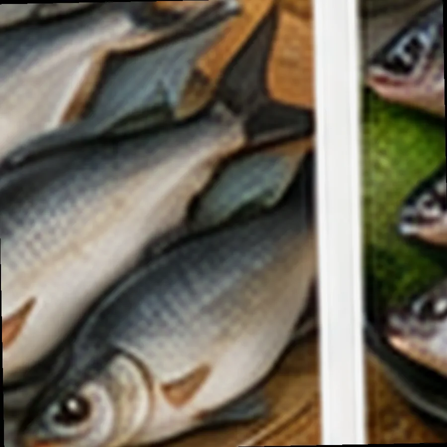 Fresh Bangus