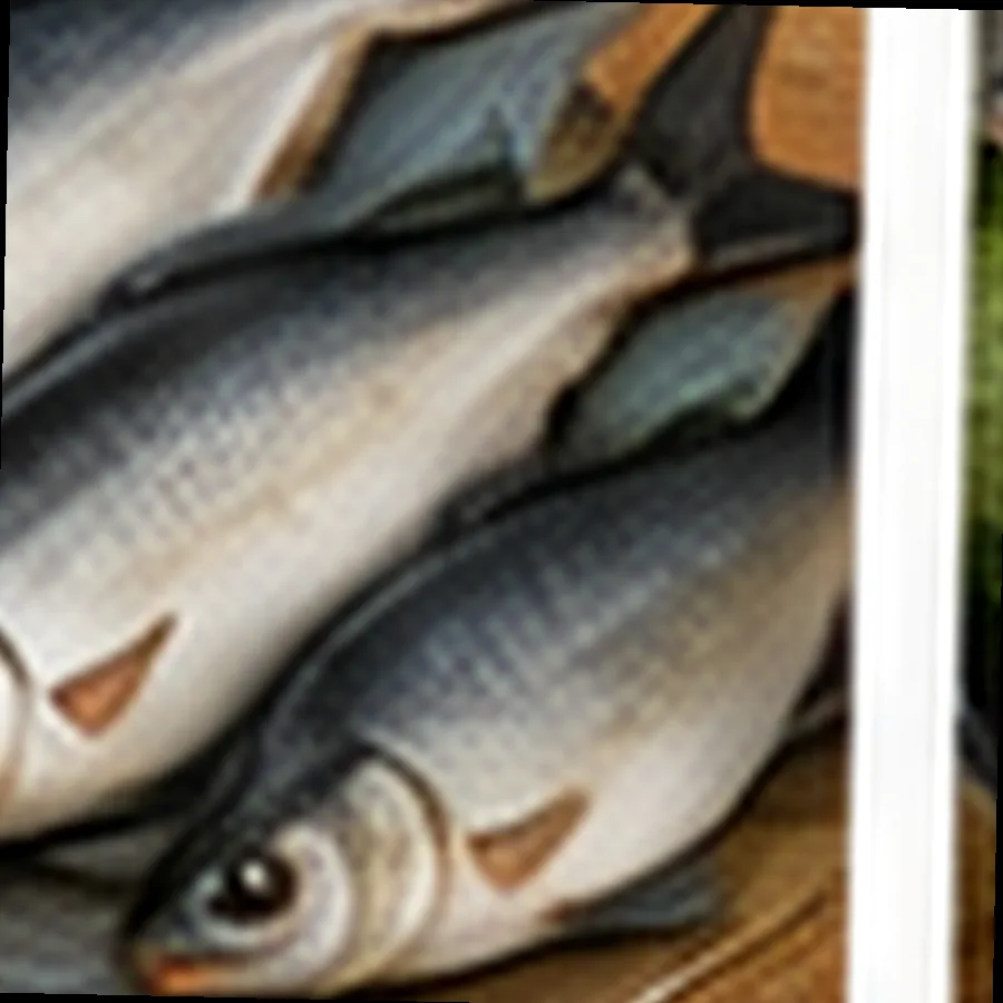 Tuna Loin