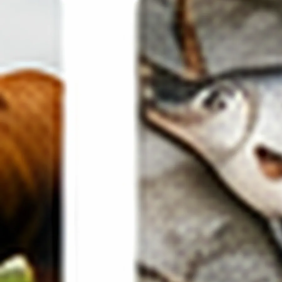 Cream Dory Fillet