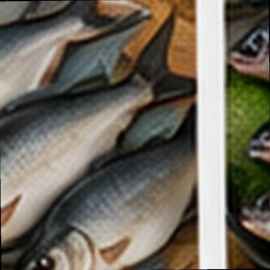 Fresh Sardines