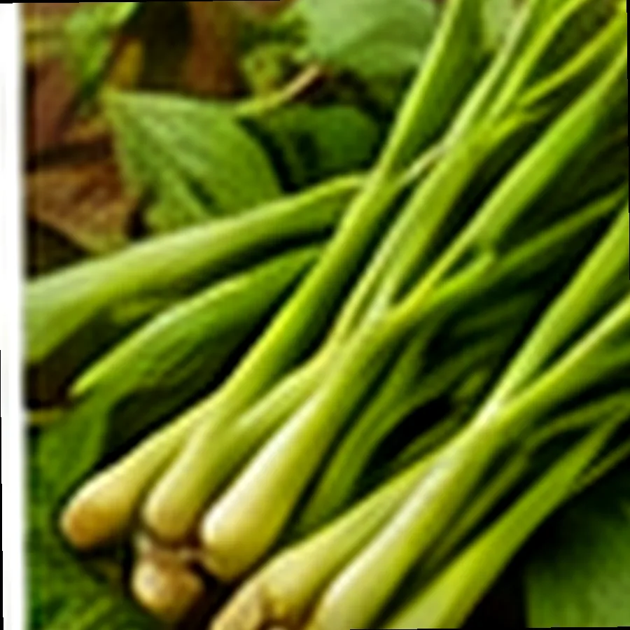 Fresh Garlic