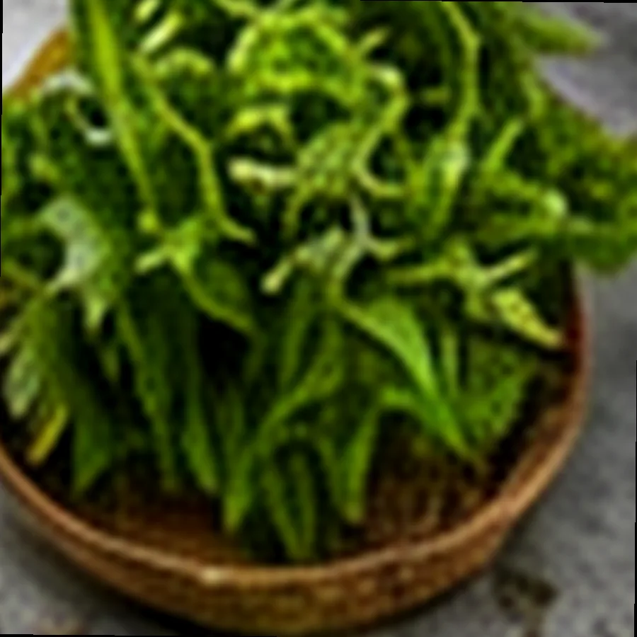 Organic Pechay