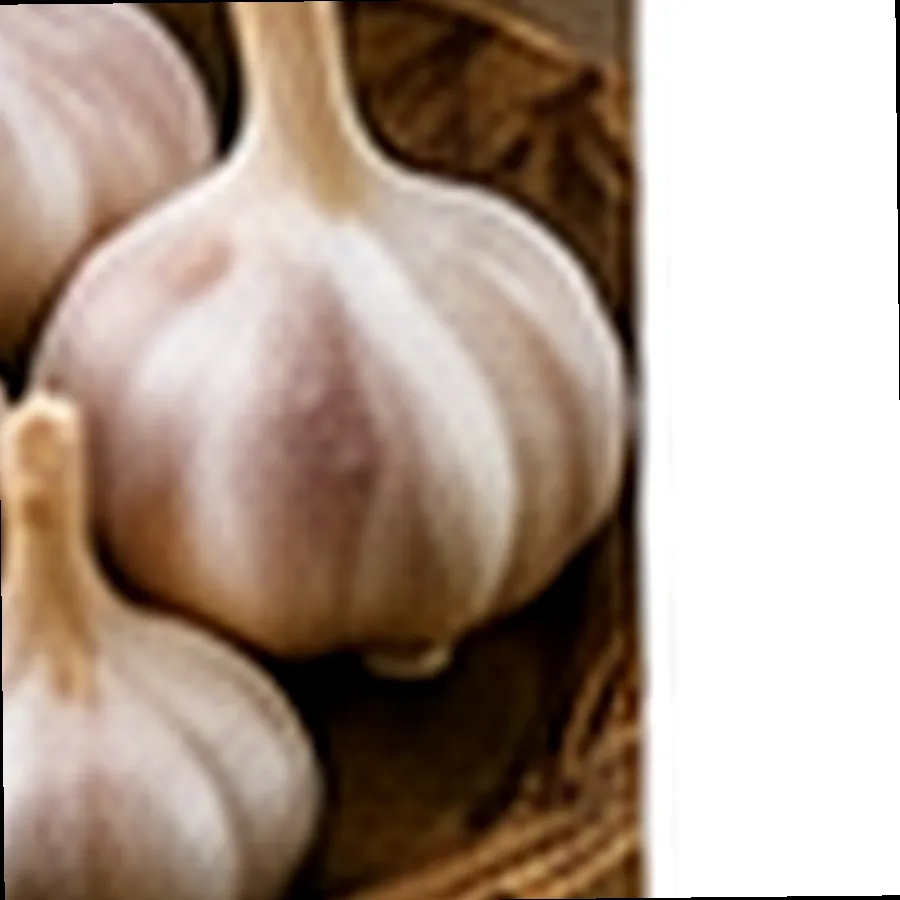 Mushroom Grow Kit