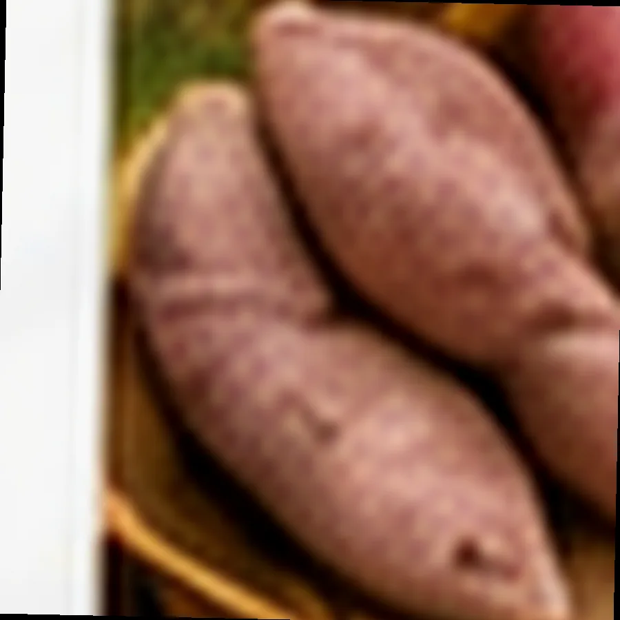 Gabi Corms