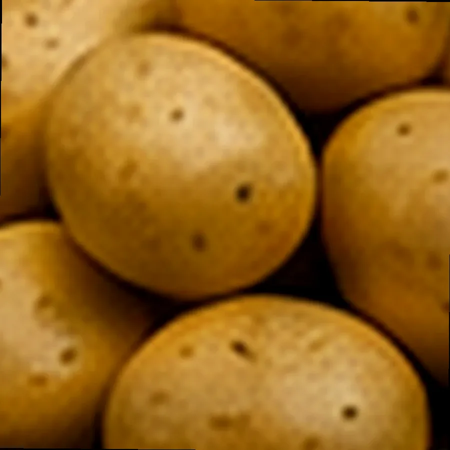 Fresh Singkamas