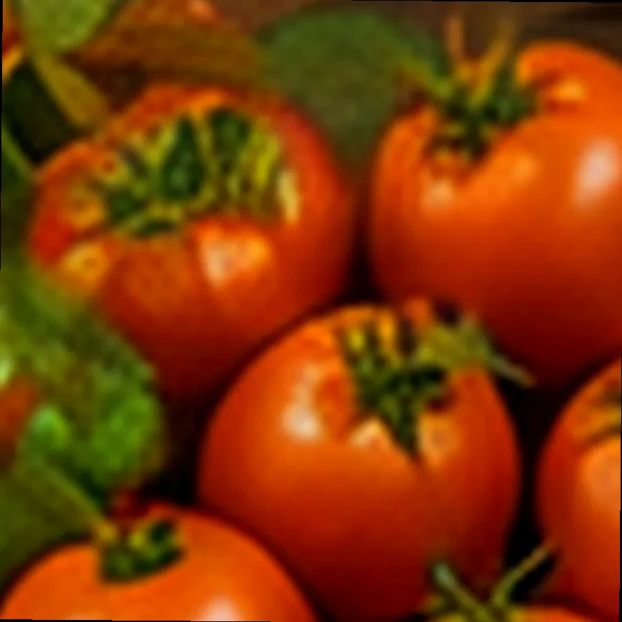 Vine-Ripened Tomatoes