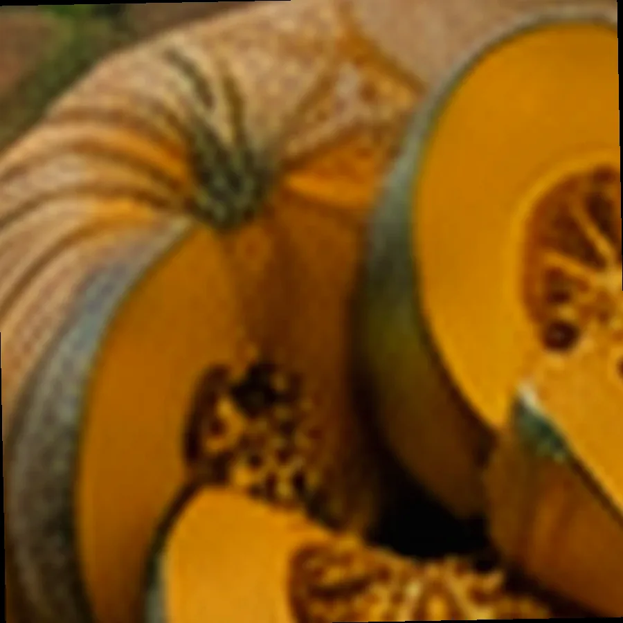 Fresh Squash