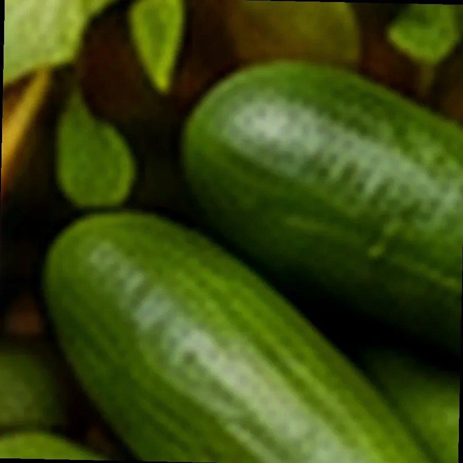 Farm Cucumber