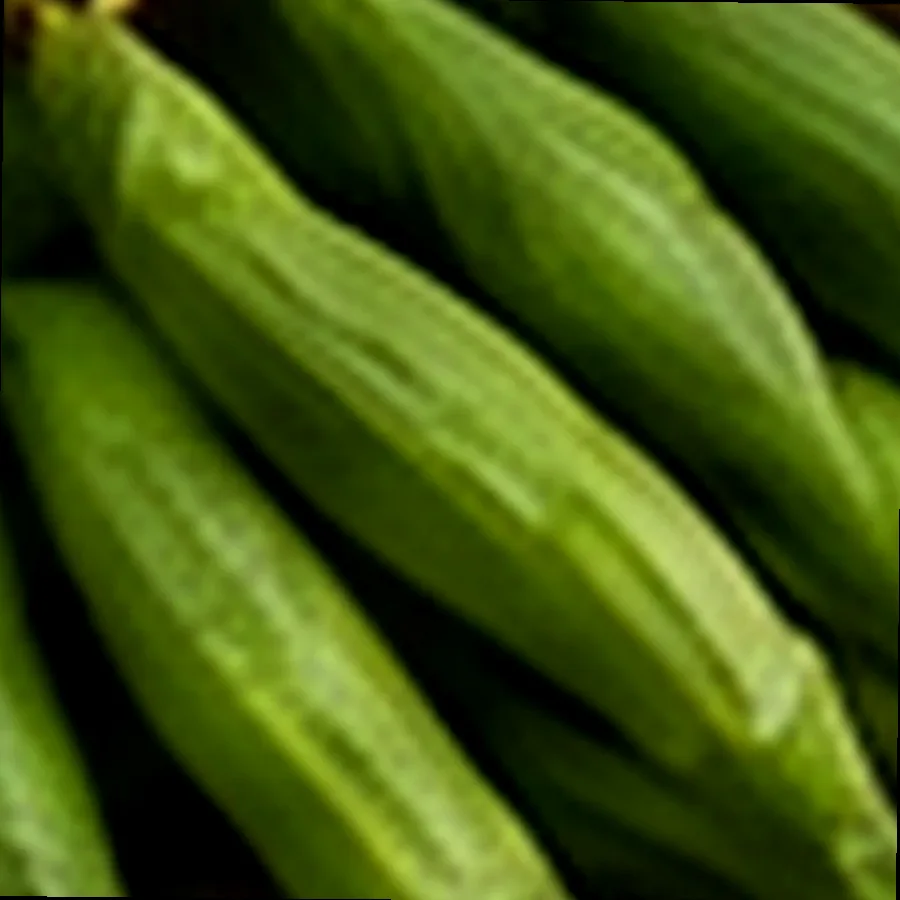 Fresh Okra