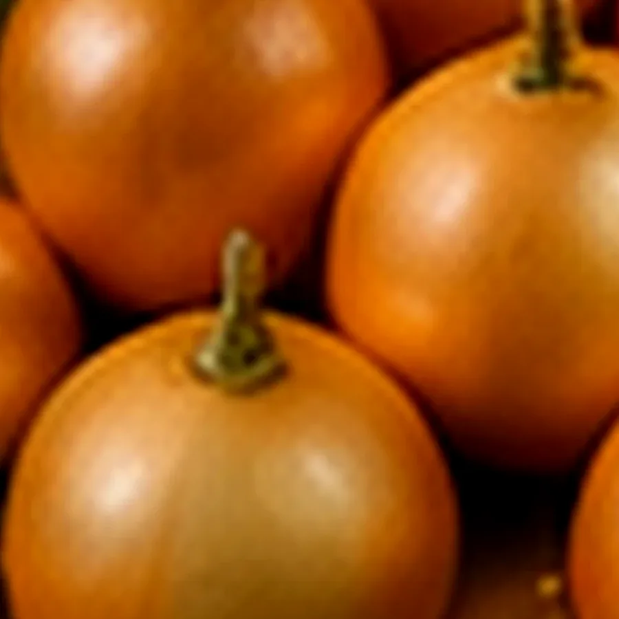 Yellow Onions