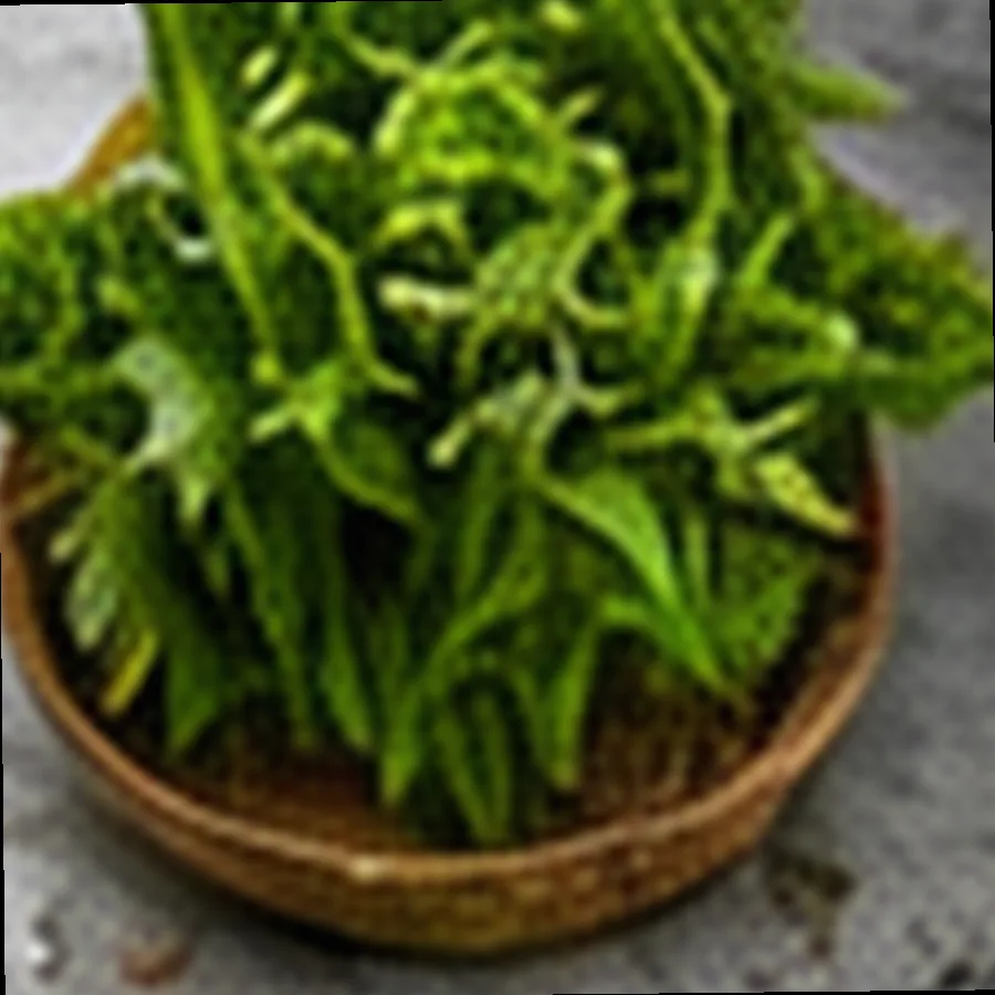 Green Lettuce