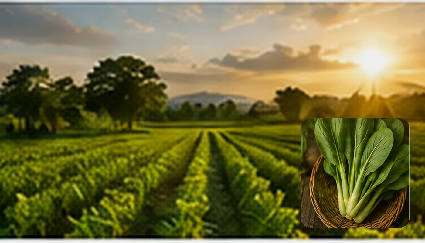 Demo Harvest Farm