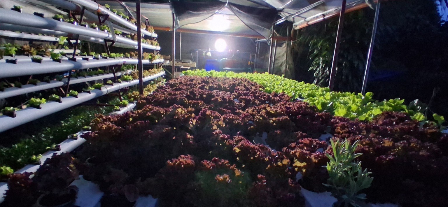 Bukid Fresh Integrated Farms photo 3