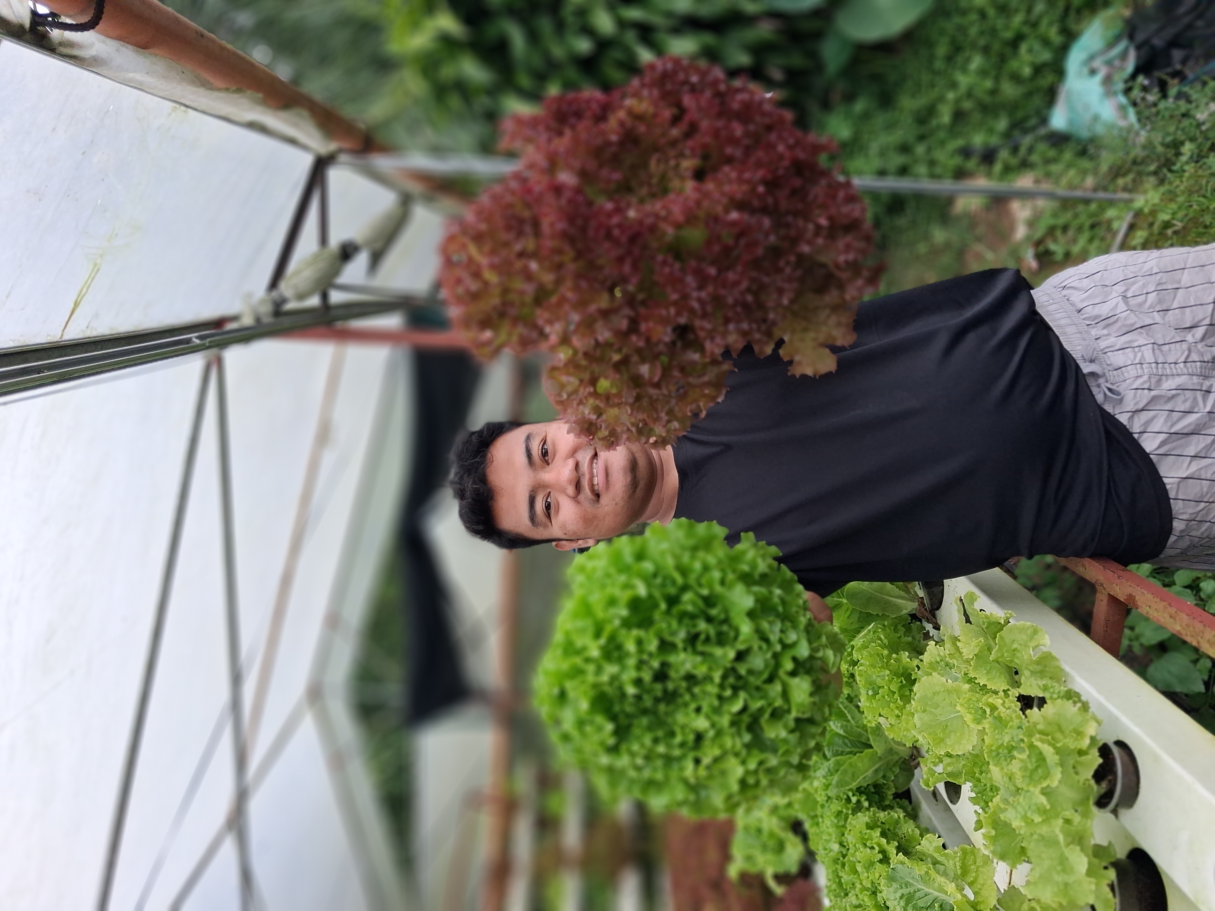 Bukid Fresh Integrated Farms