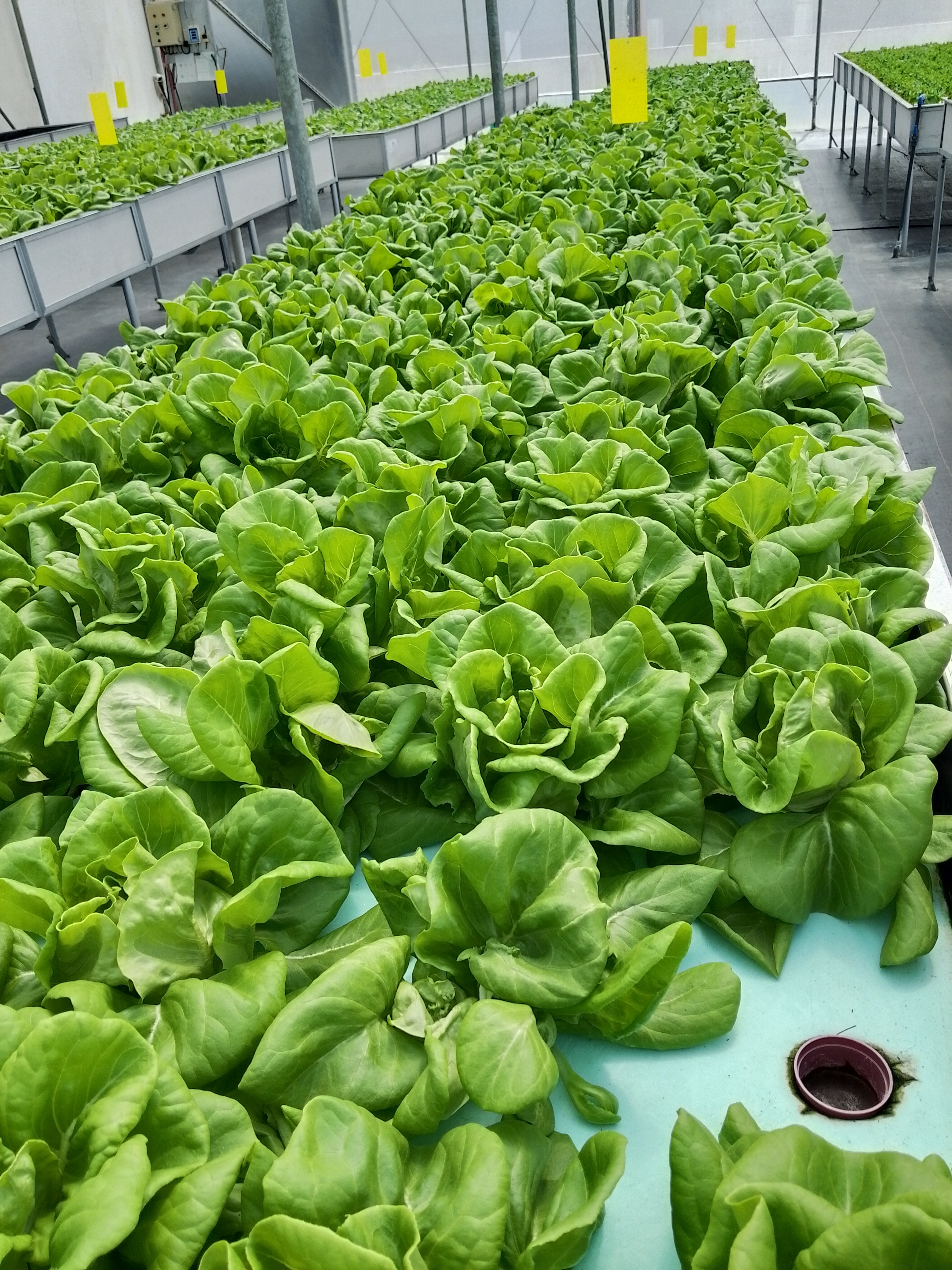 Farmlab Agricultural Farm photo 4