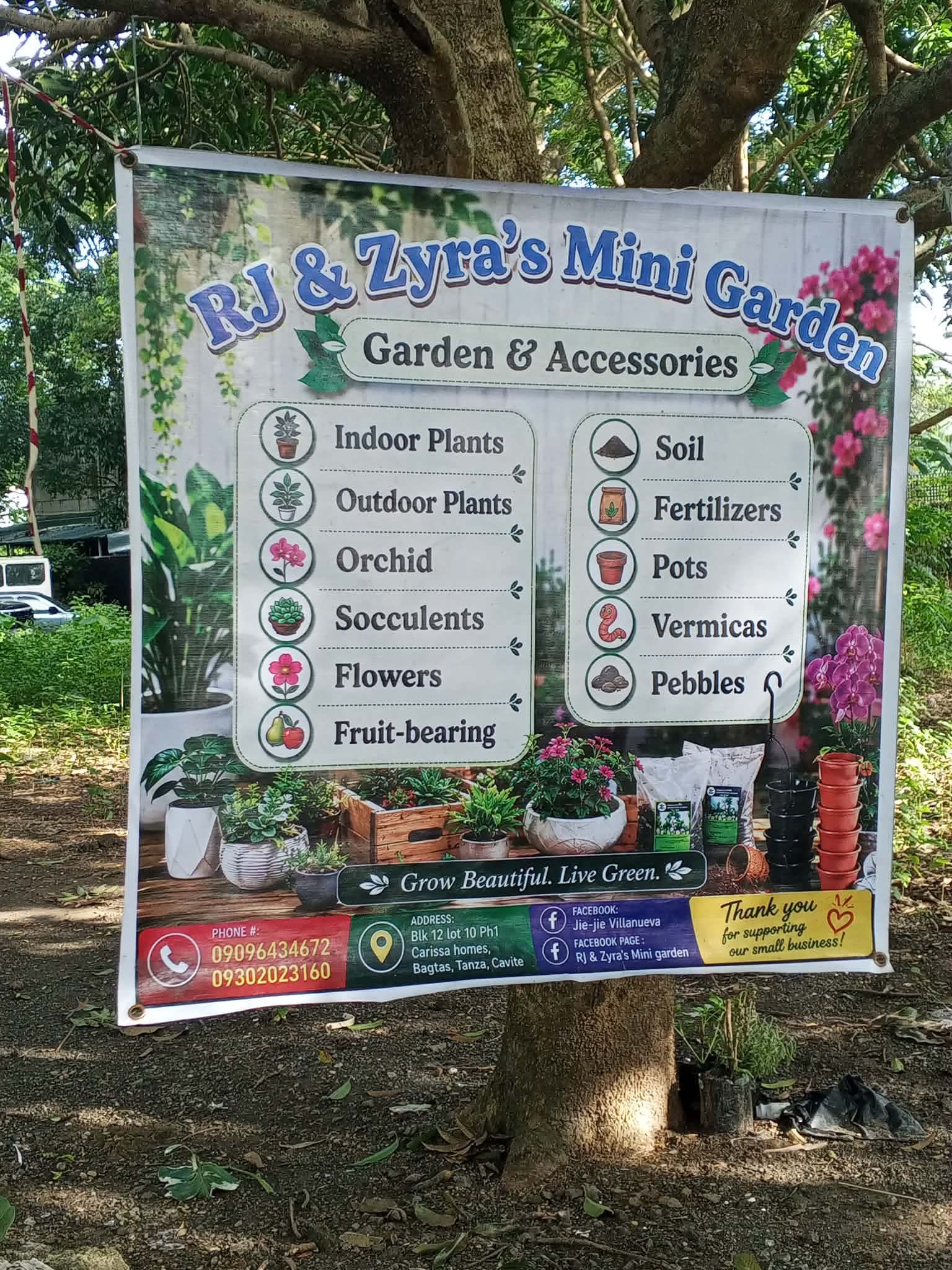 Rj & Zyra's Mini garden