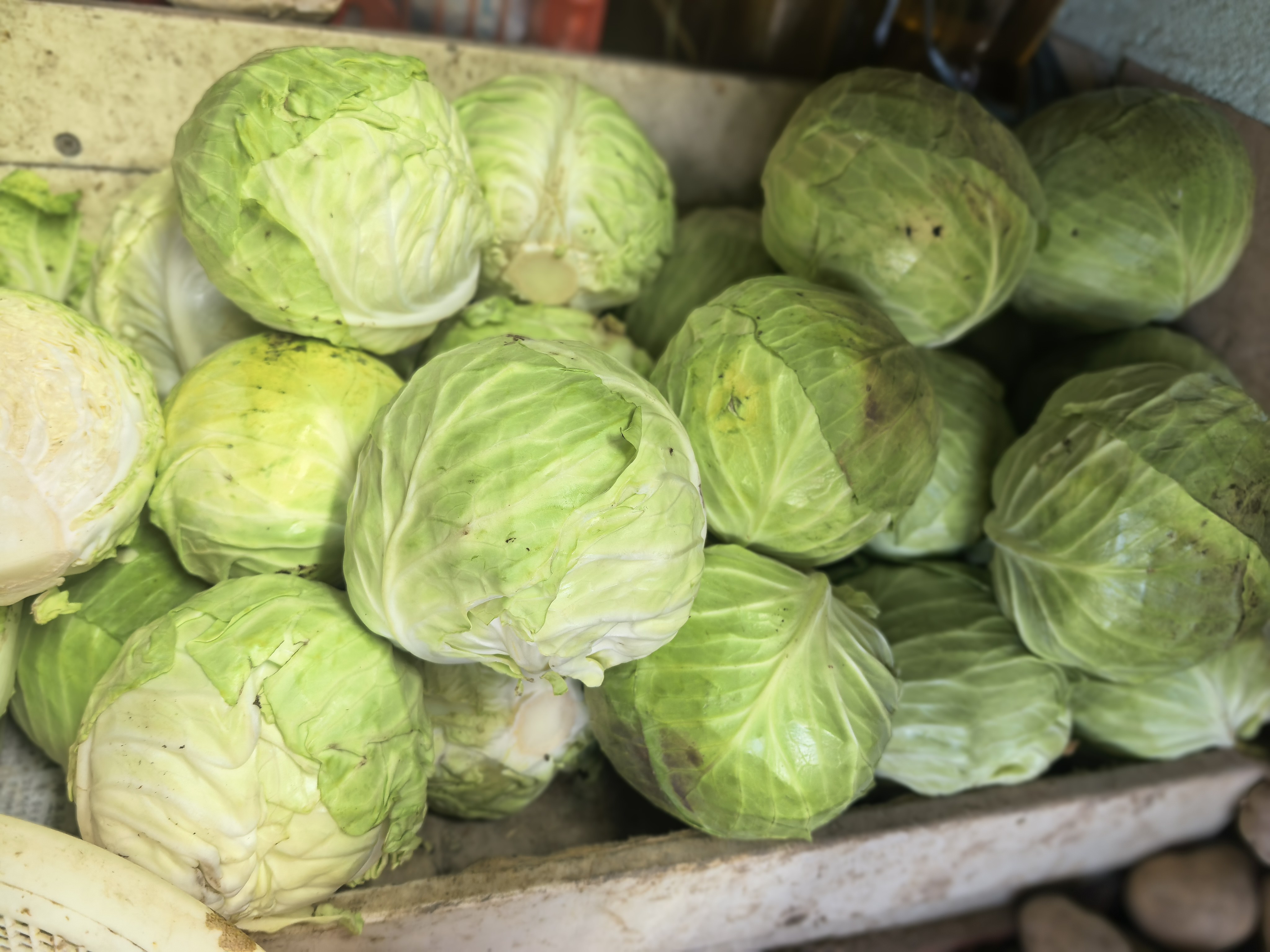 Vicky's Fresh Veggies photo 6