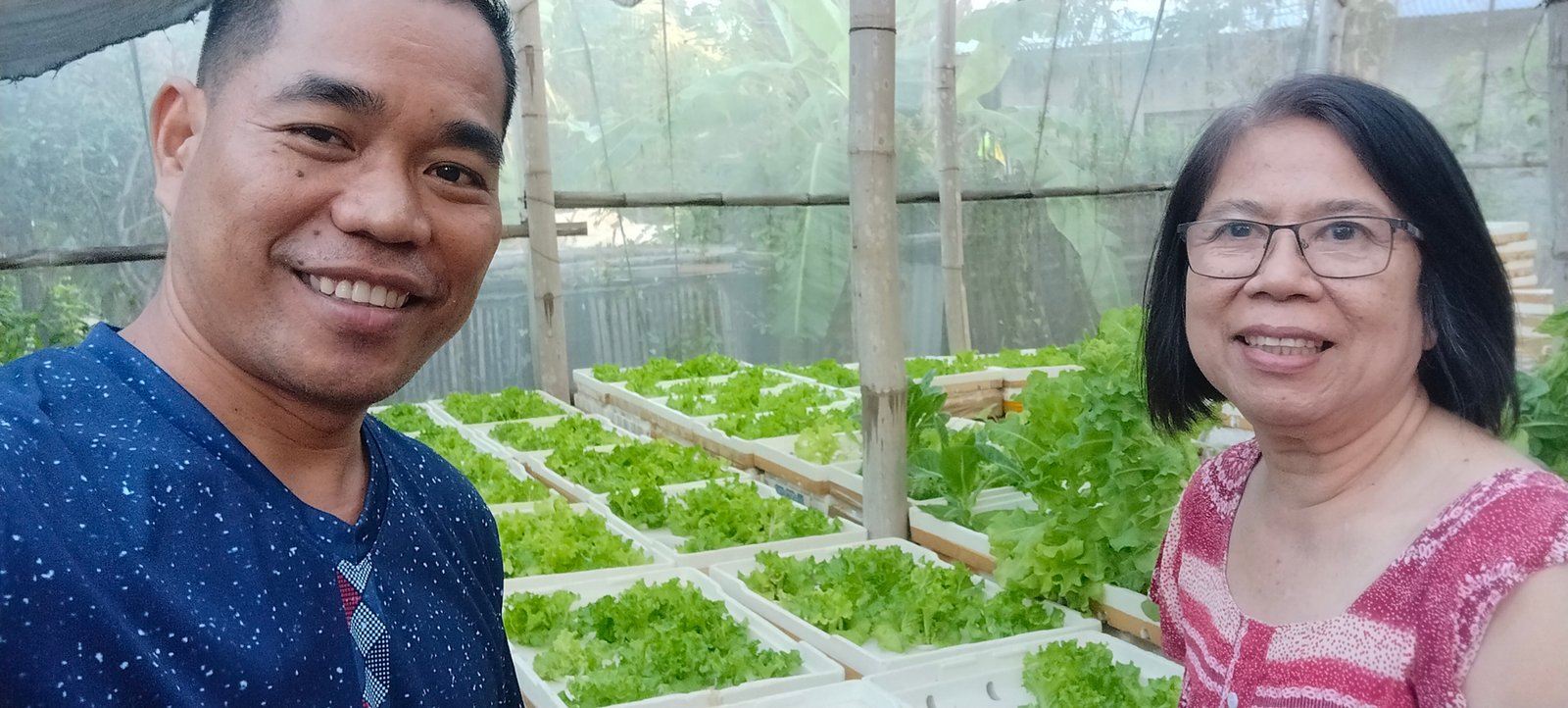 Theo's Hydroponic Farm