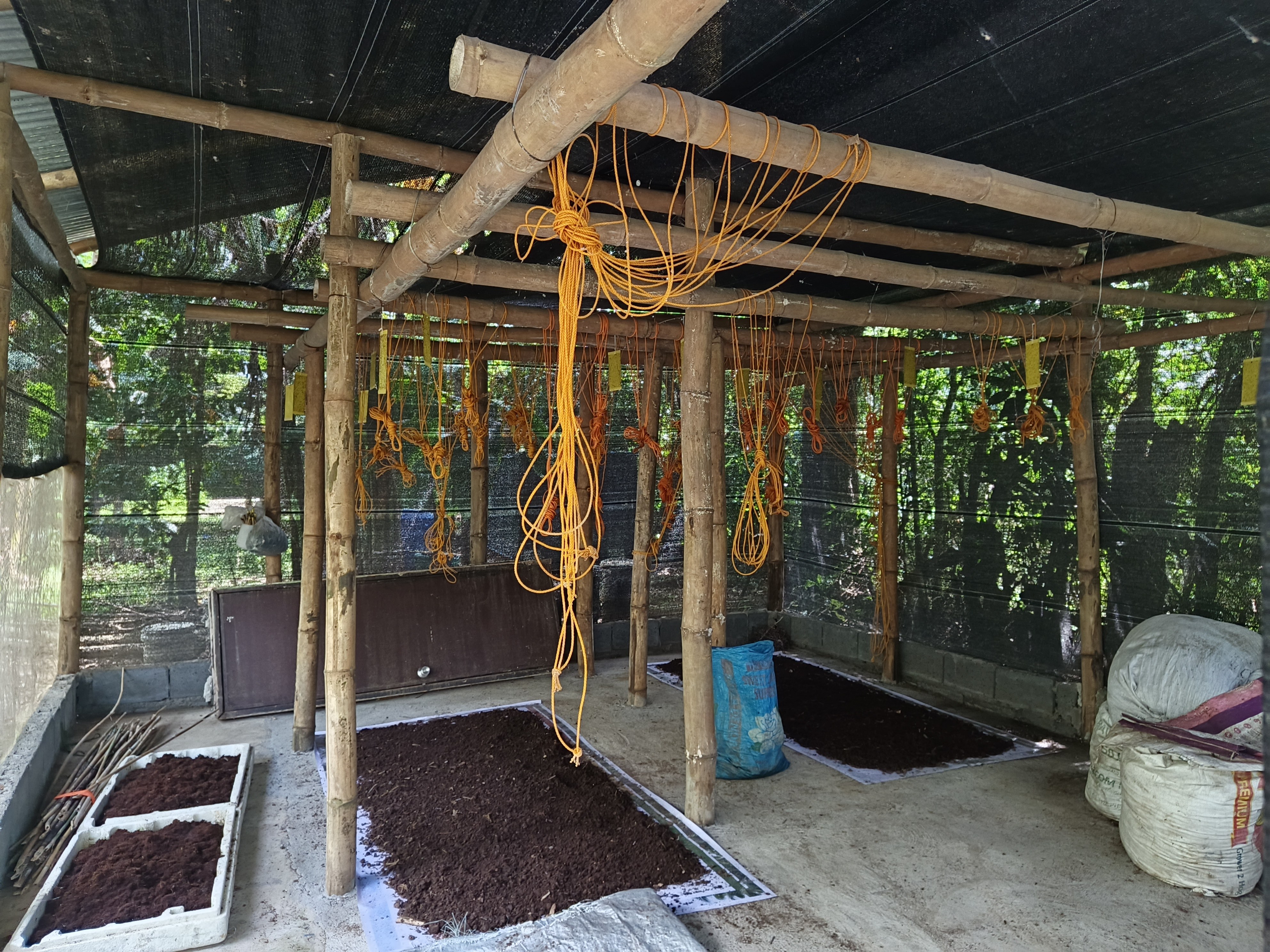 Lukbanan Urban Integrated Natural Farm photo 3