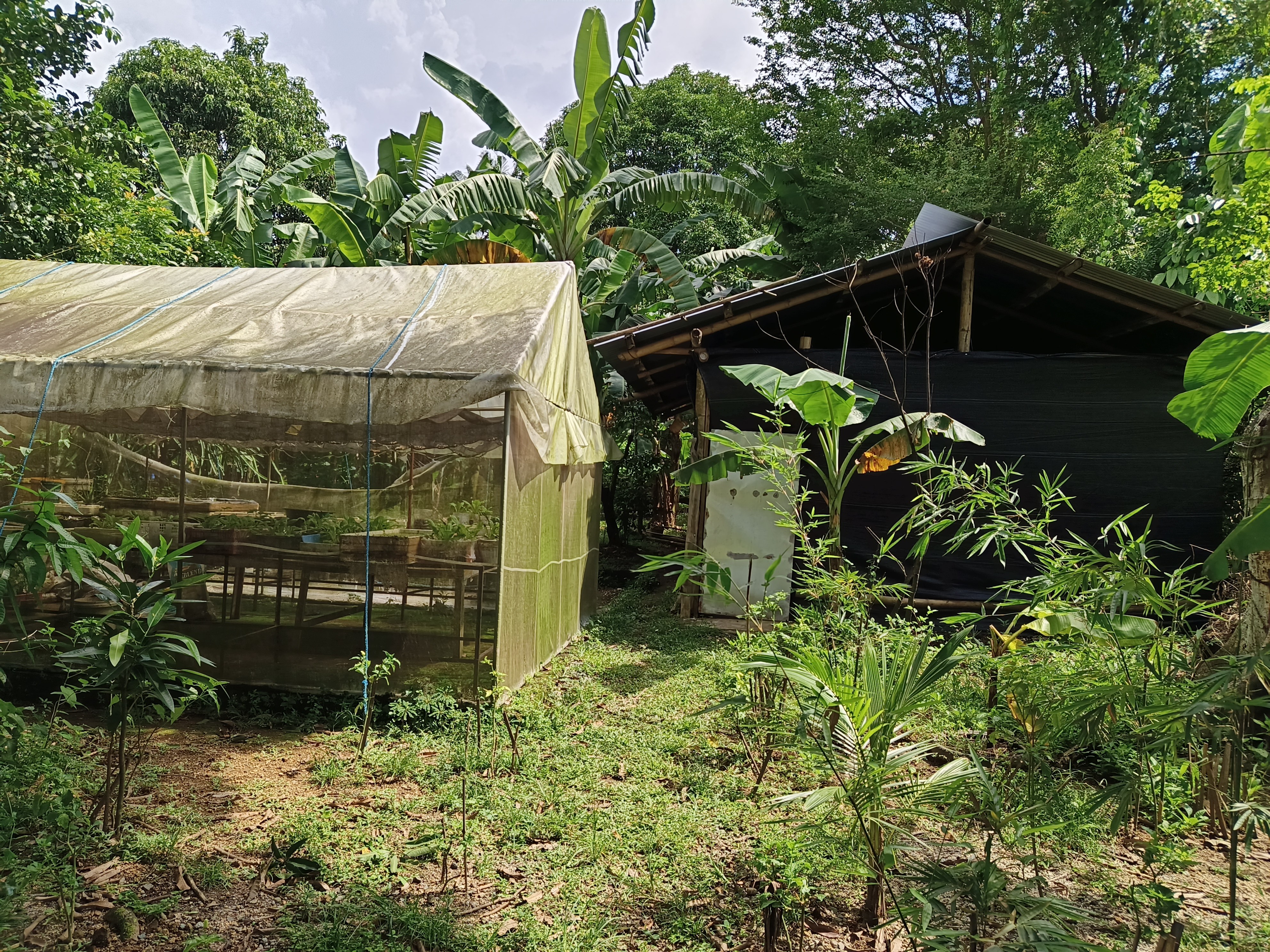 Lukbanan Urban Integrated Natural Farm