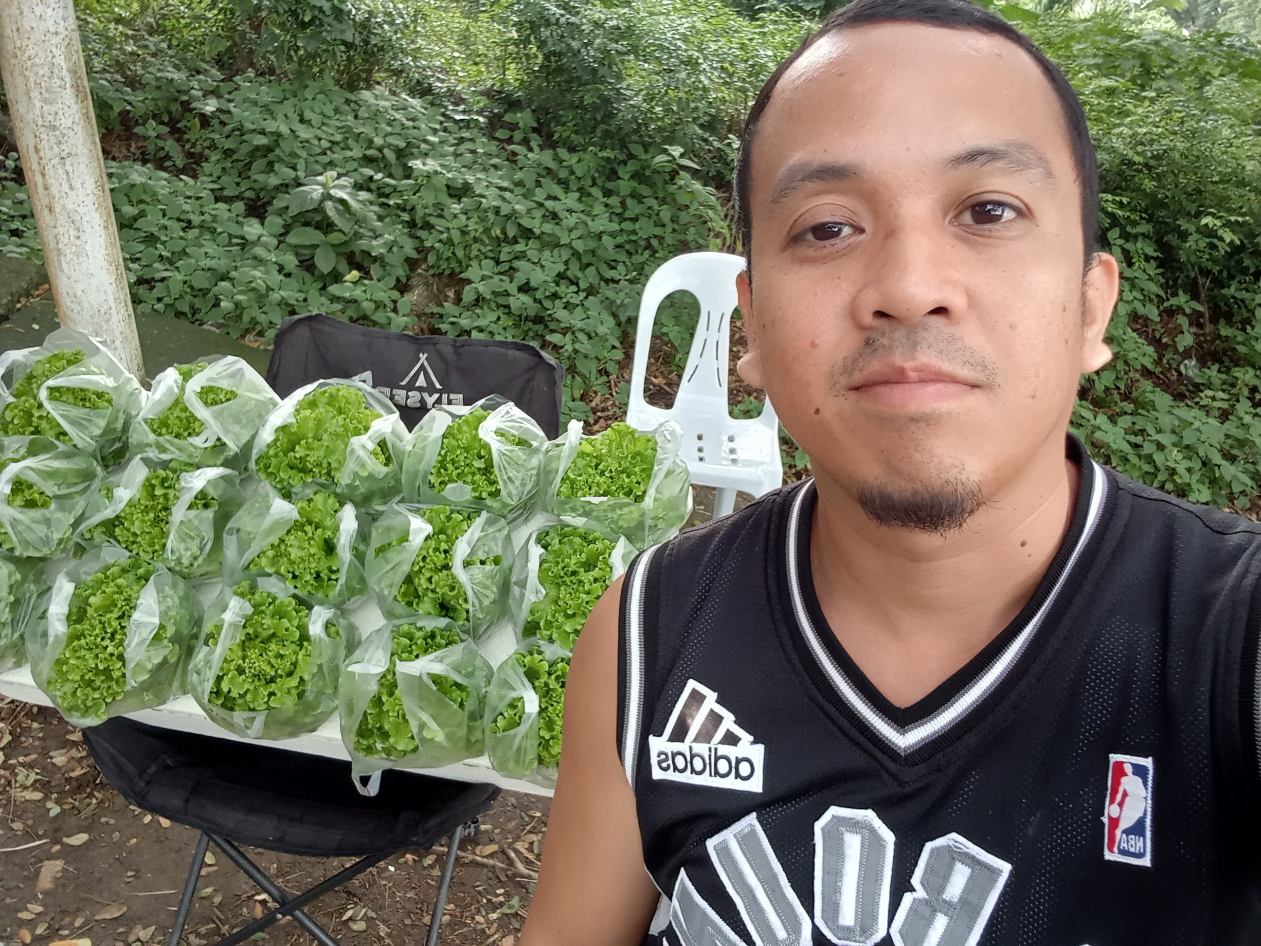 kicyghie hydroponics photo 2