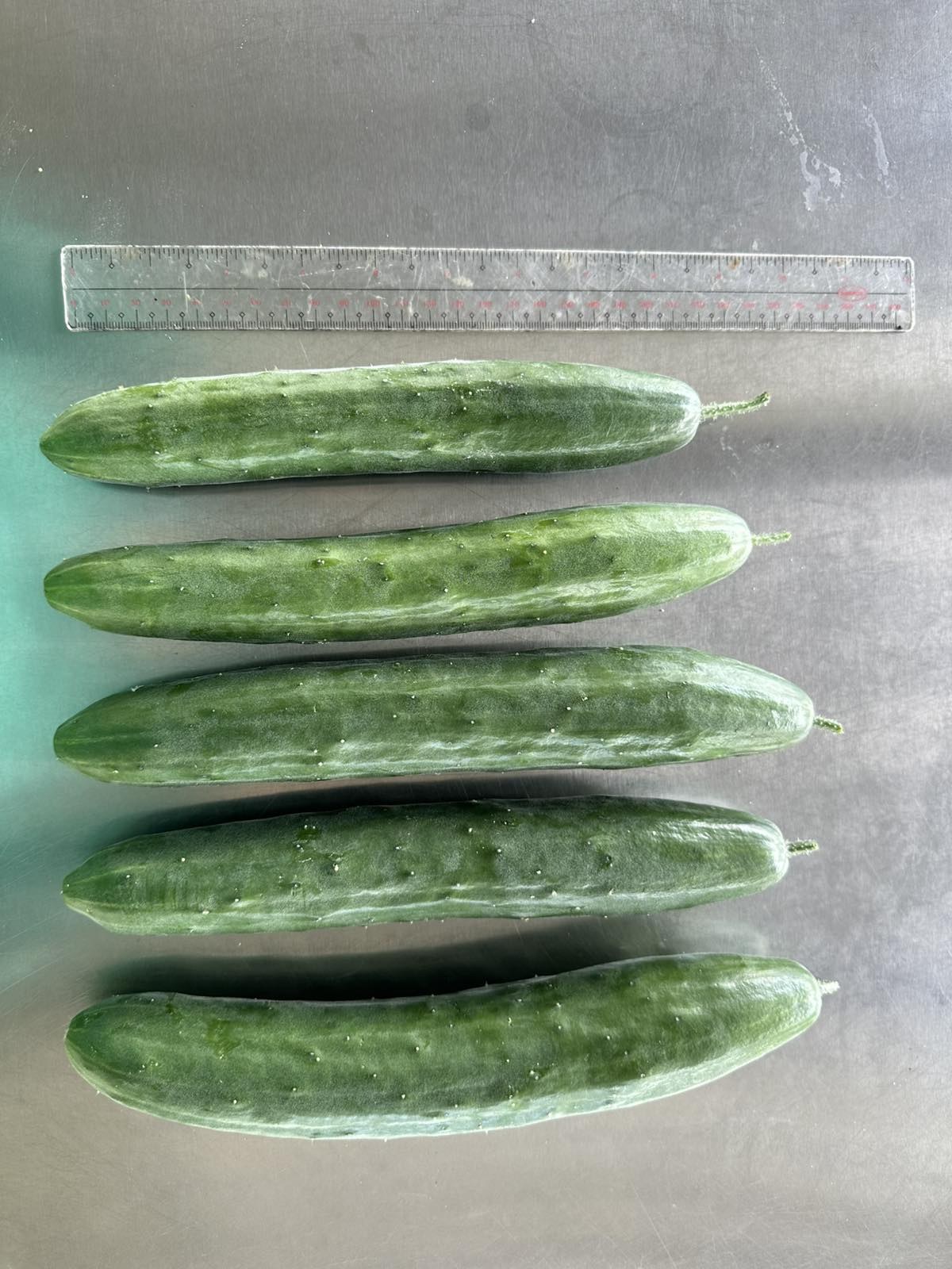 Japanese cucumber 🥒 photo 3