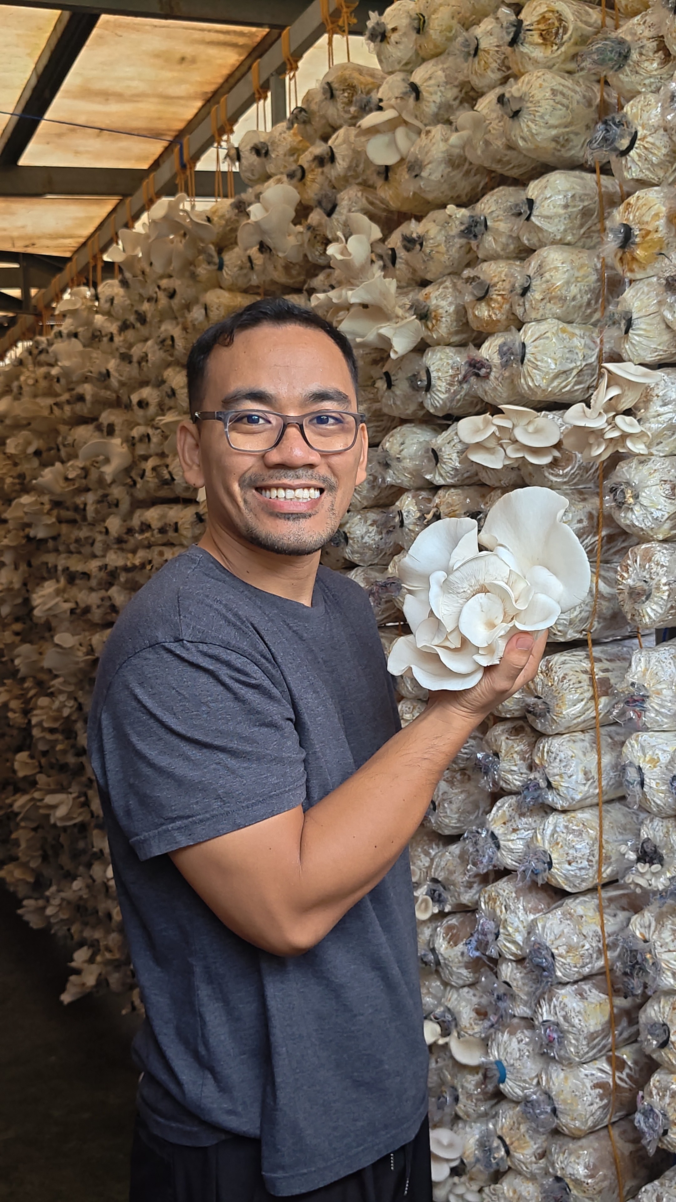 Fresh Oyster Mushroom photo 3