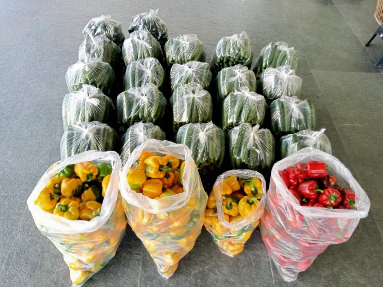 Yellow bellpepper photo 3