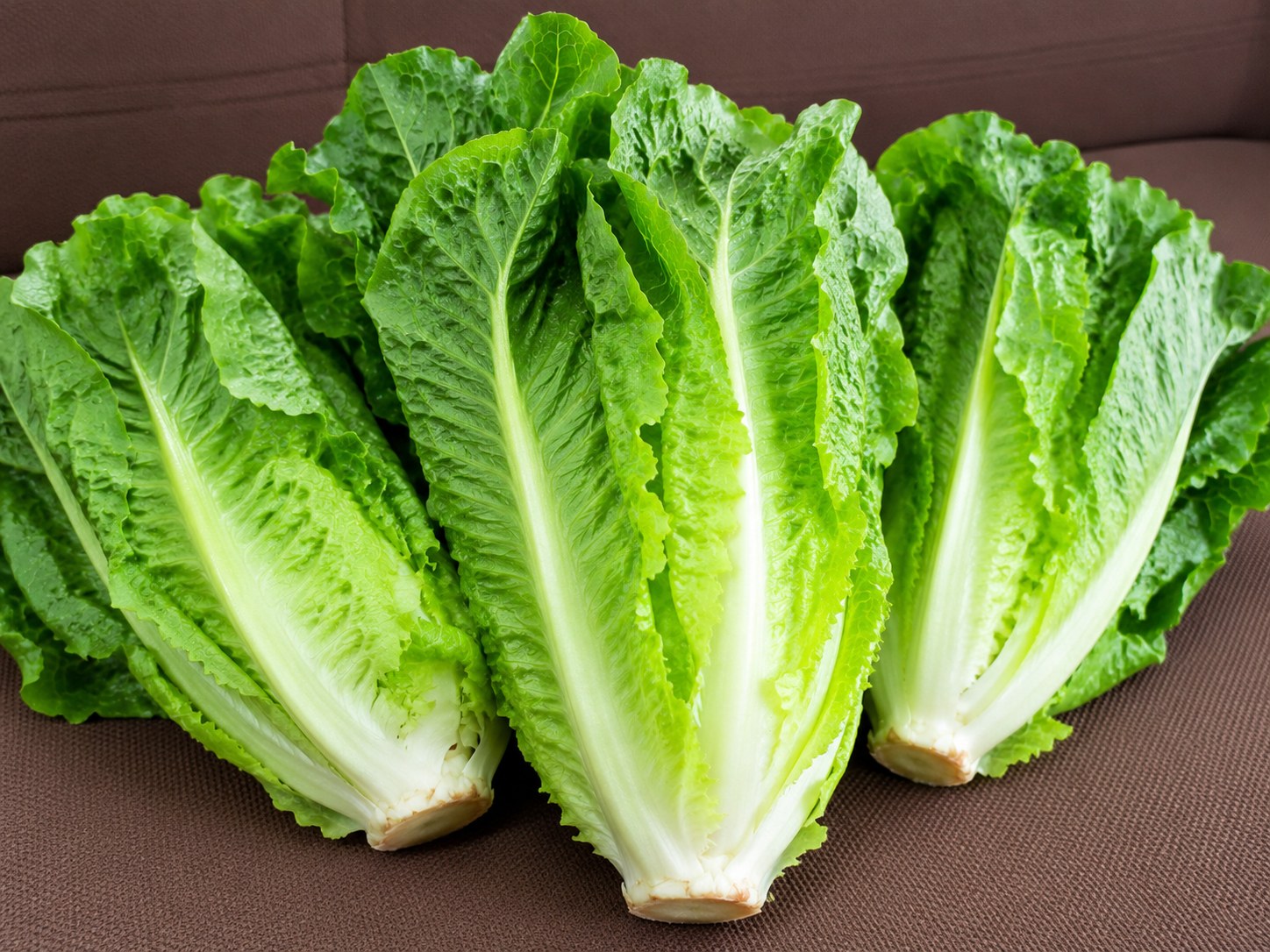 Romaine Lettuce