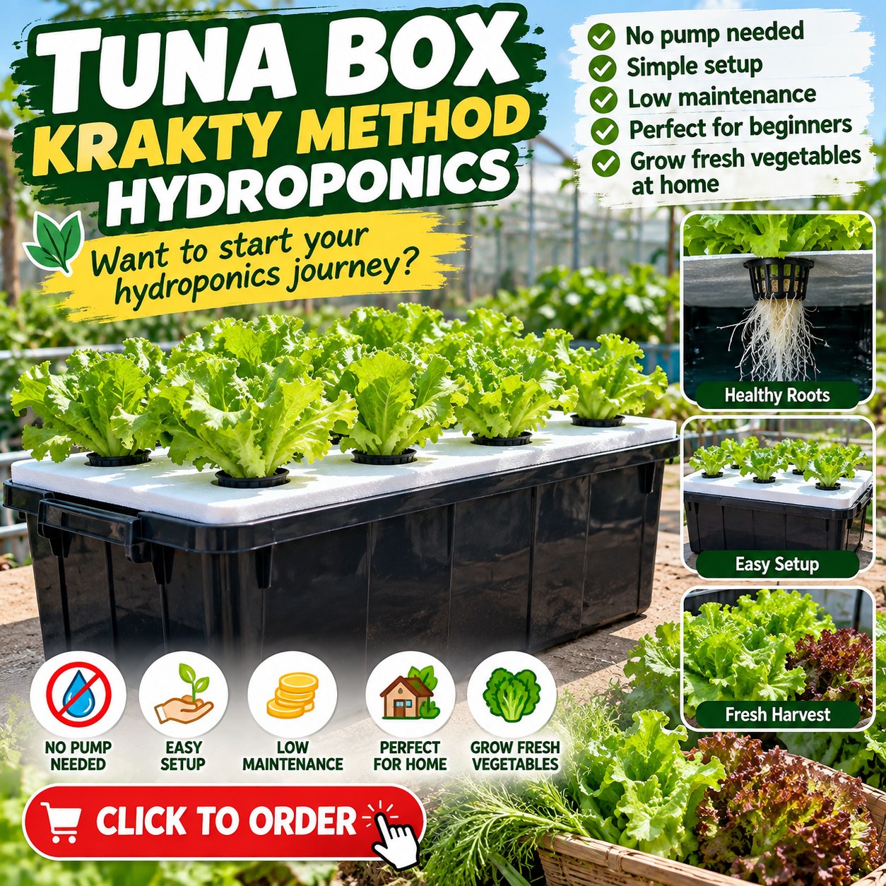Hydroponics Tuna Box