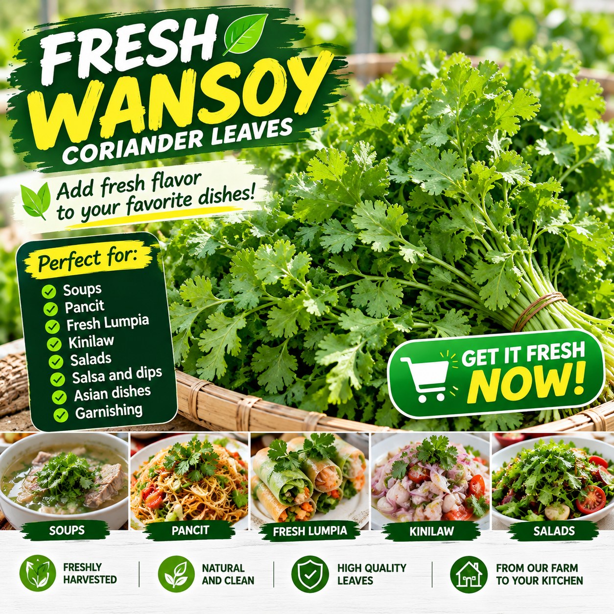 Fresh Wansoy( Coriander)