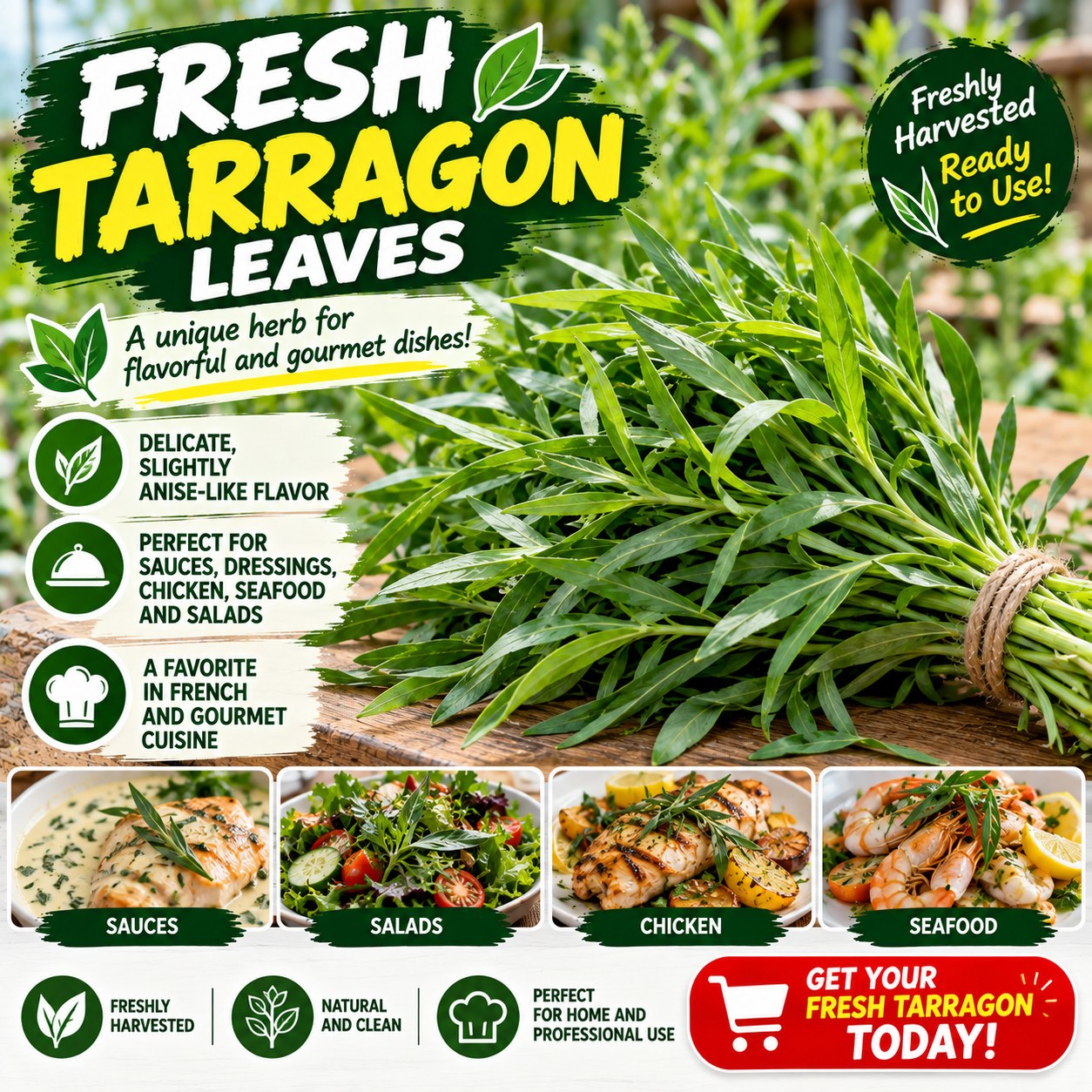 Tarragon Leaves