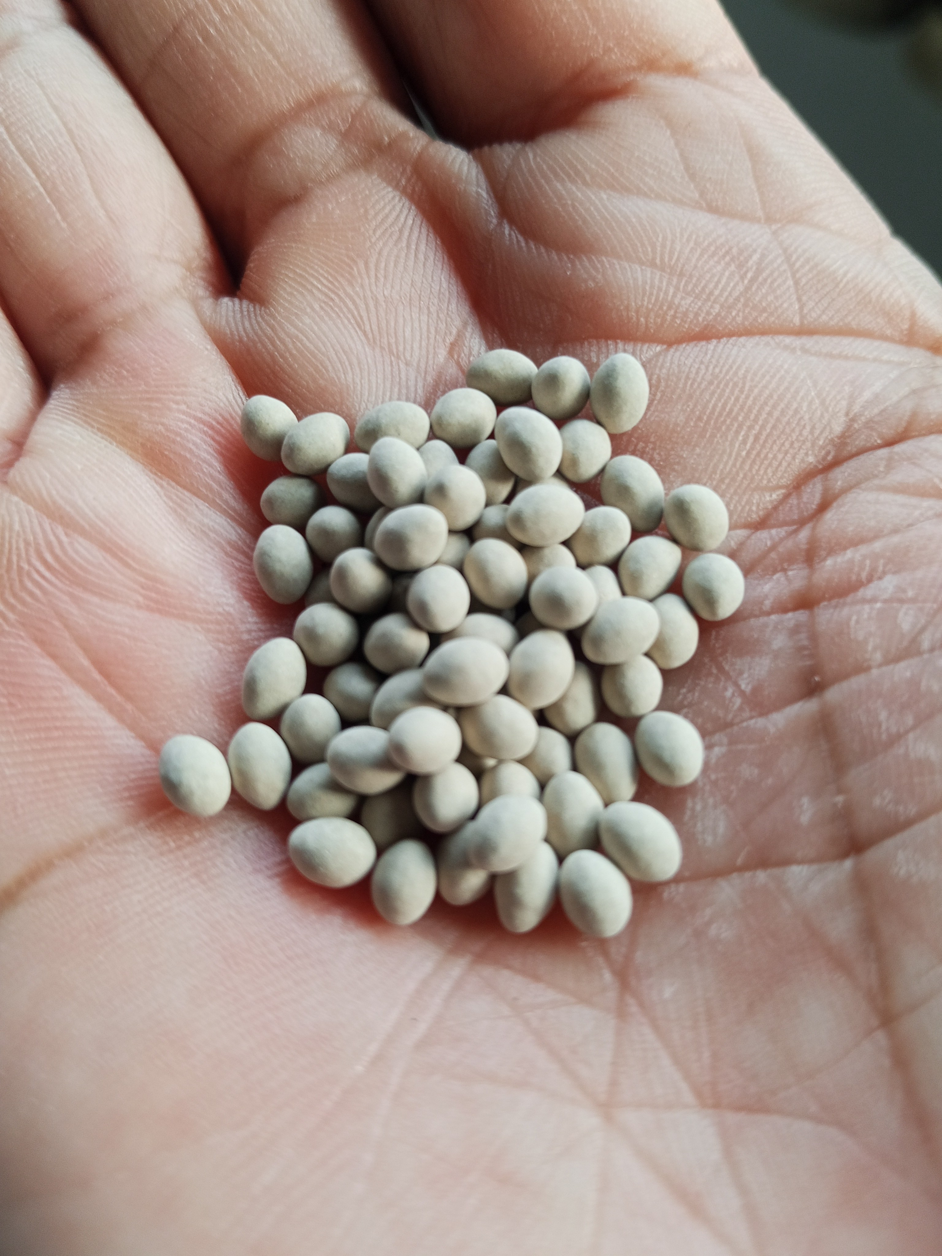 Olmetie Pelletized Seeds-100 pill