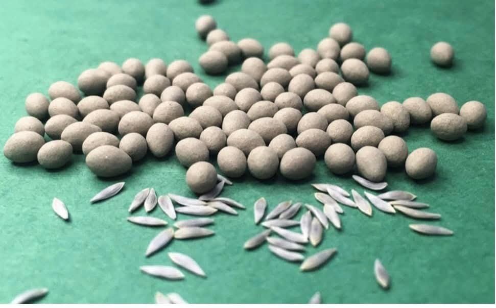 Olmetie Pelletized Seeds-100 pill photo 3
