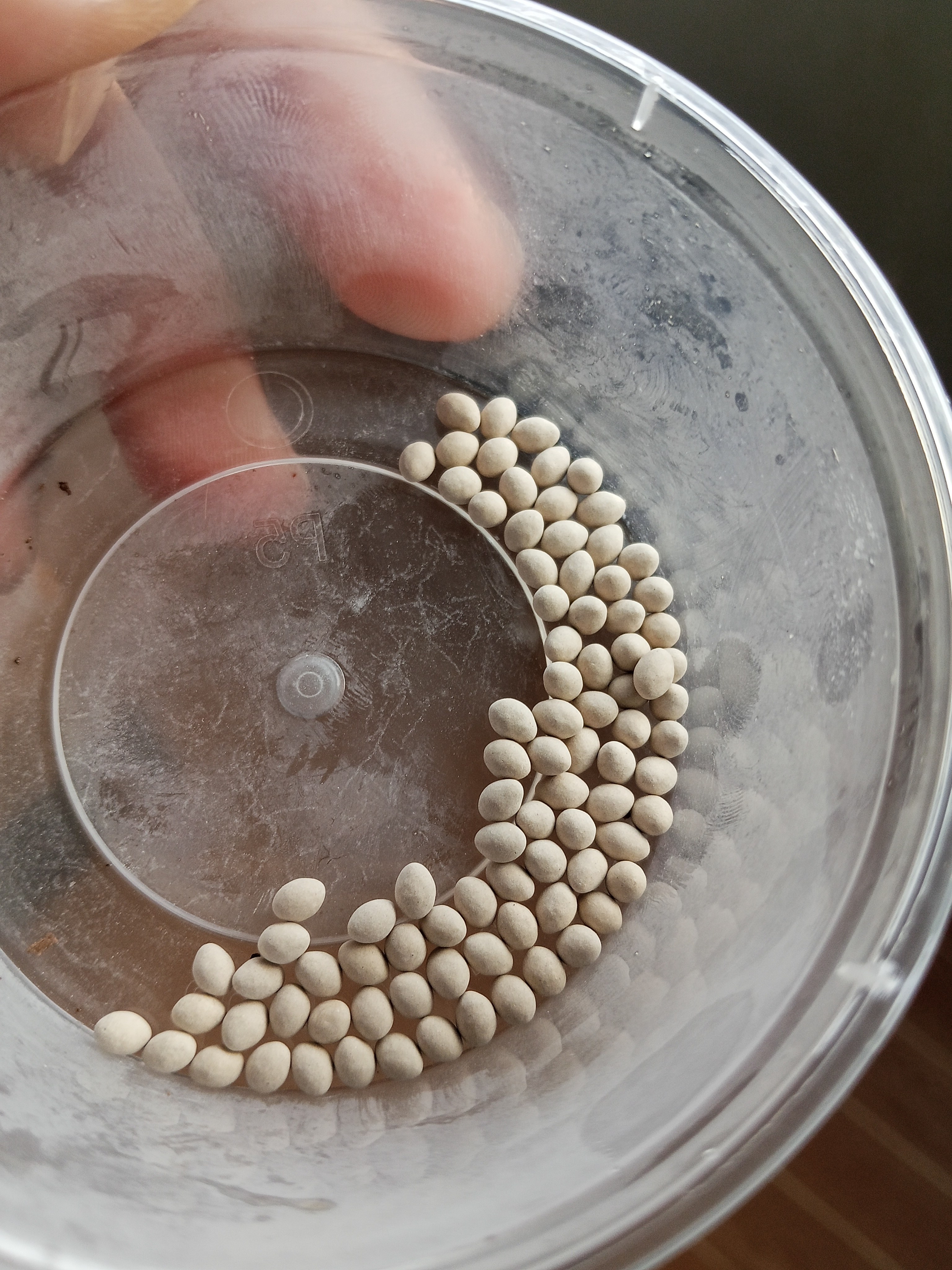 Olmetie Pelletized Seeds-100 pill photo 2