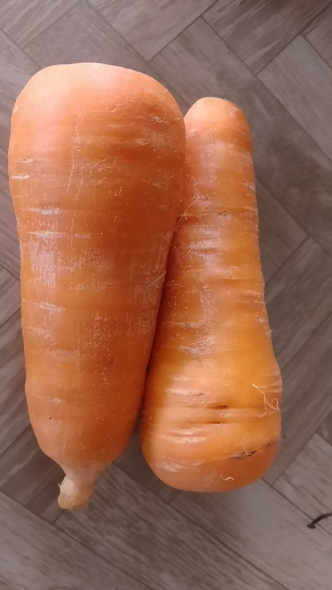 Carrots