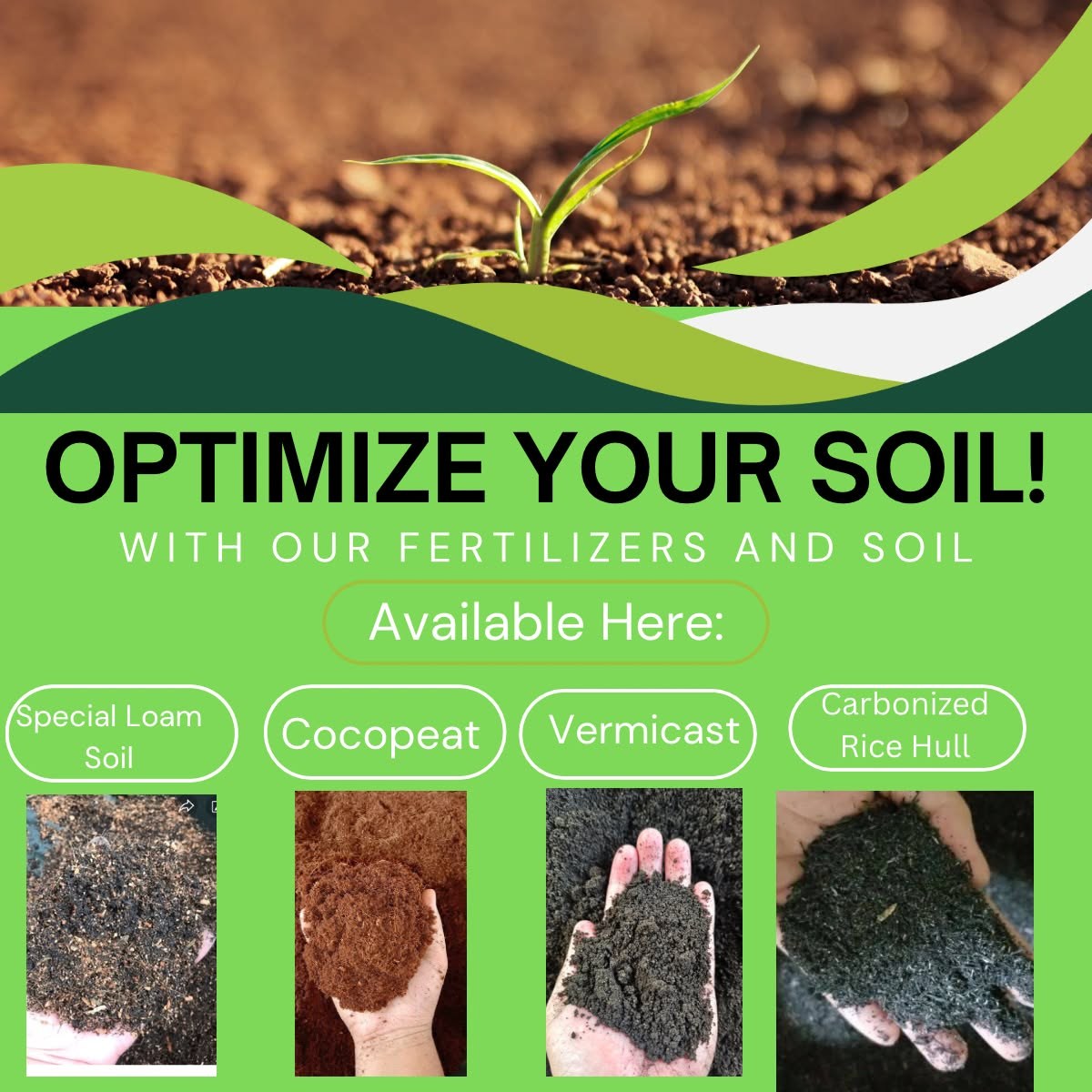 Soil for planting vegetable seeds