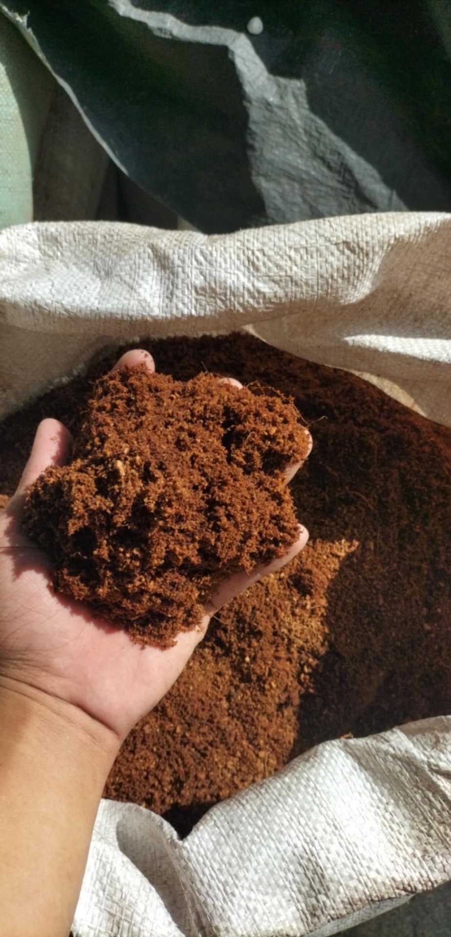 Soil for planting vegetable seeds photo 2