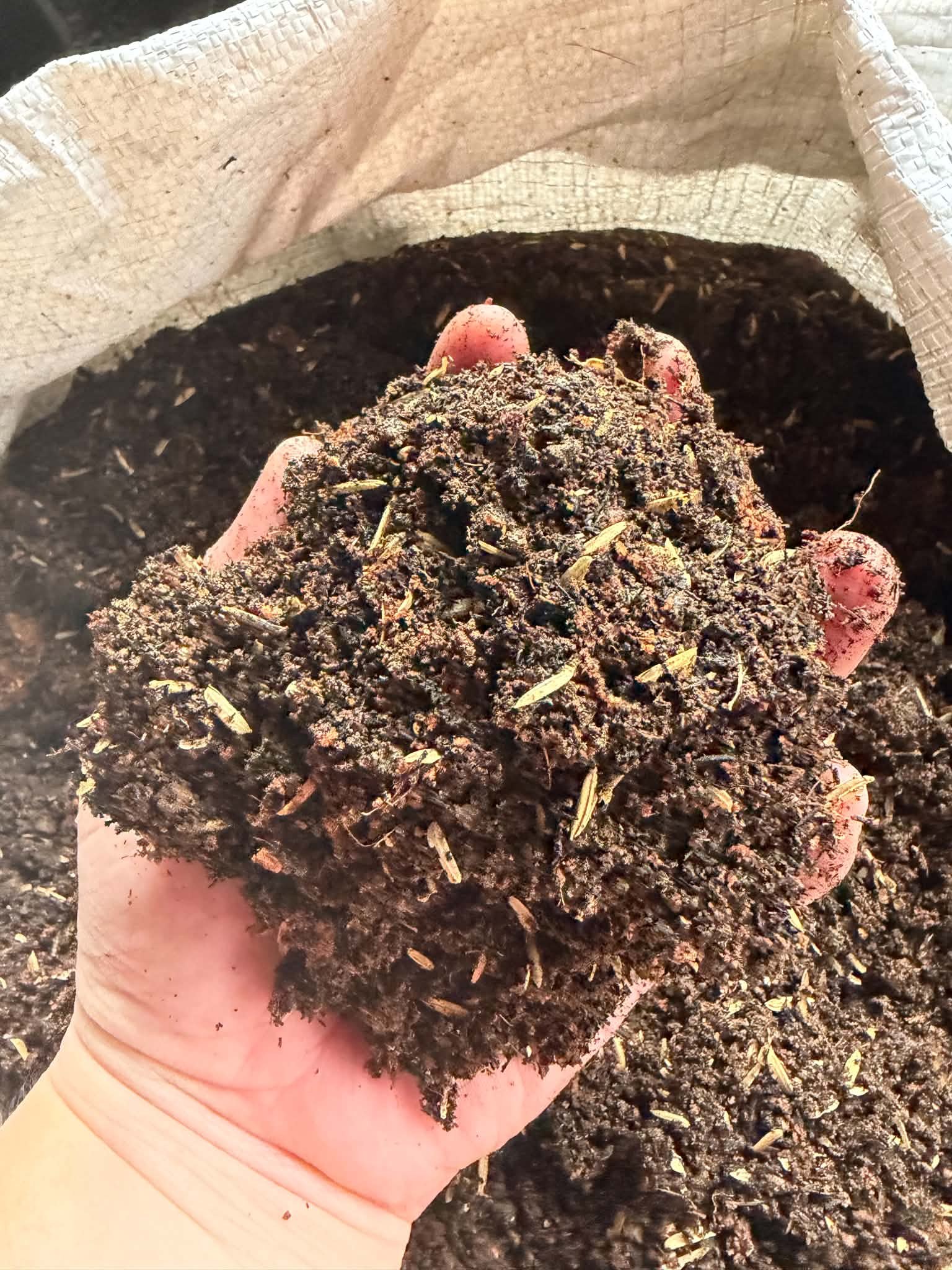 Soil for planting vegetable seeds photo 3