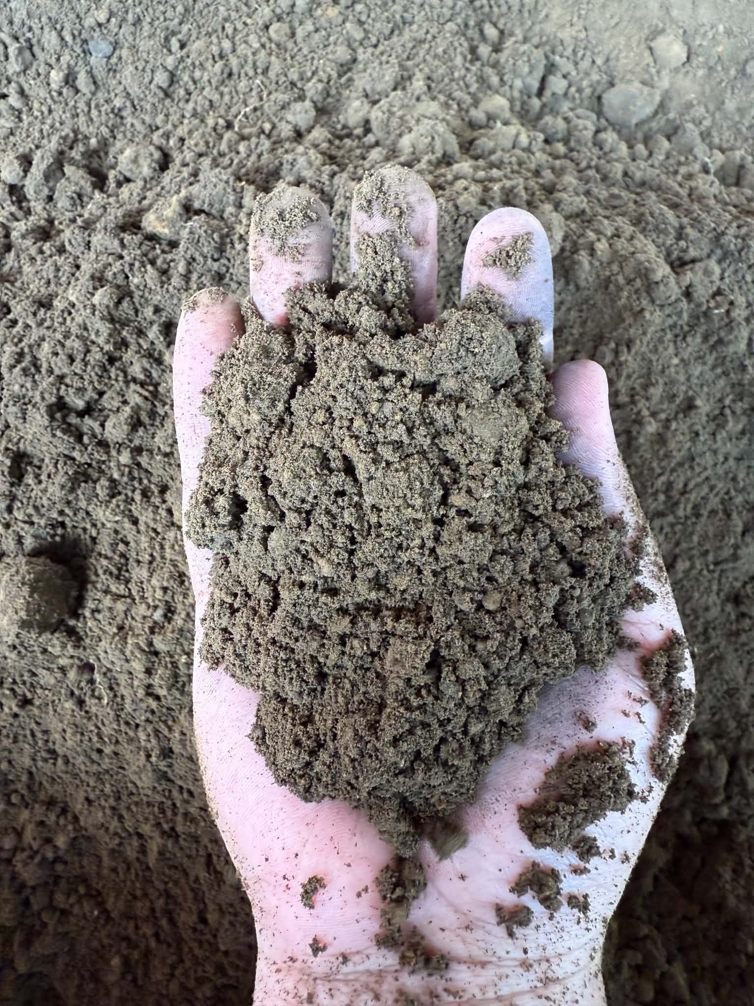Soil for planting vegetable seeds photo 5
